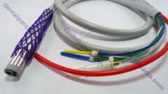 TBG, SILC,4HL