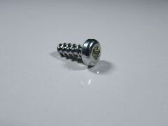 W&H TORX SCREW